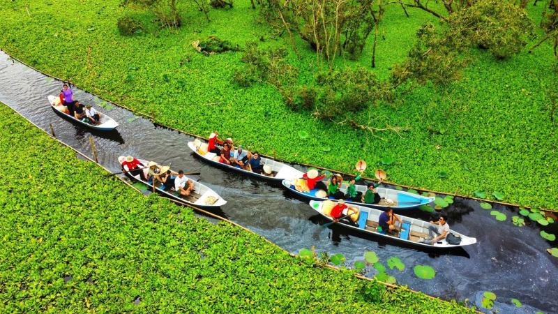 RỪNG TRÀM TRÀ SƯ - MÙA NƯỚC NỔI MIỀN TÂY 